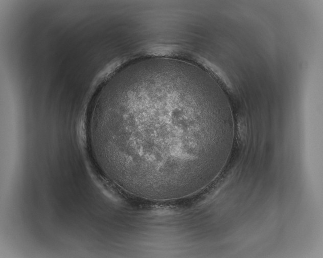 X0000111580682200907231236