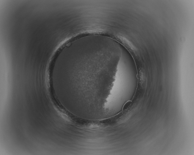 X0000111580684200907231236
