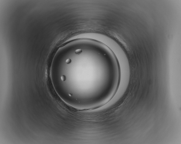 X0000111580685200907231236