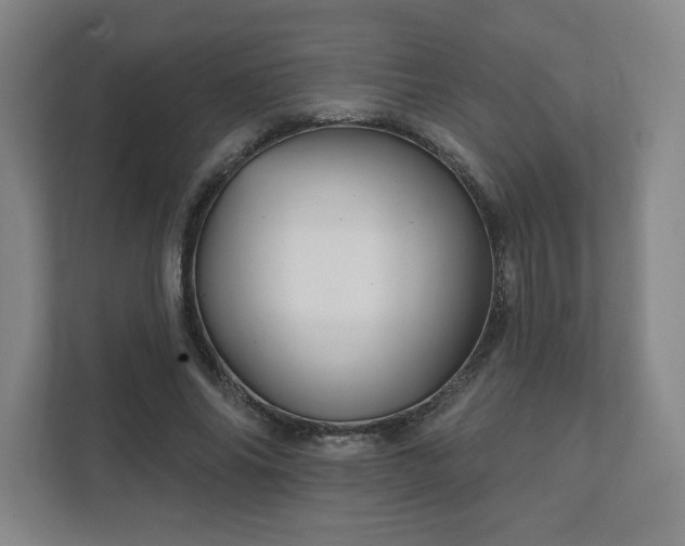 X0000111580686200907231236