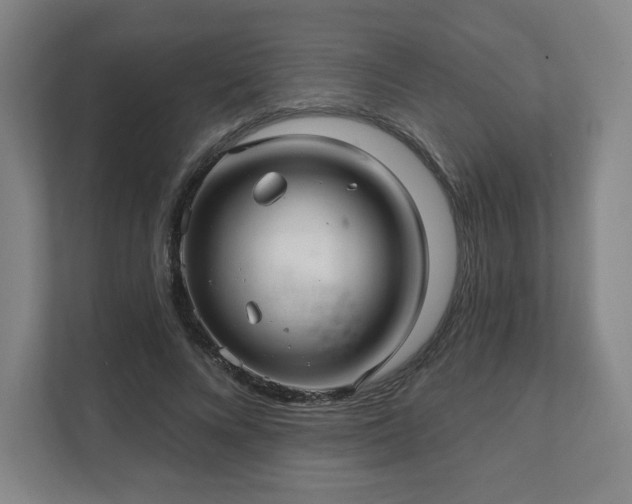X0000111580688200907231236