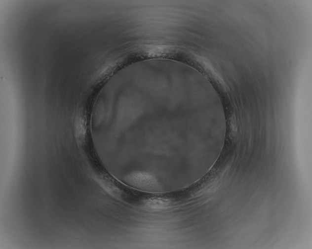 X0000111580691200907231236