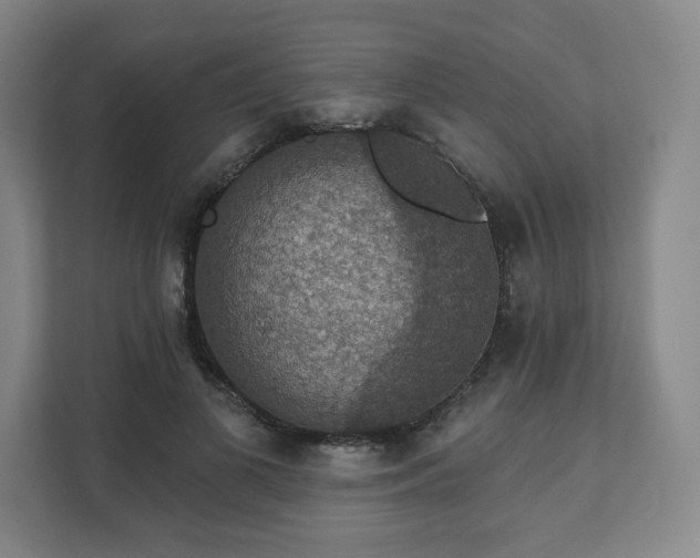 X0000111580693200907231236