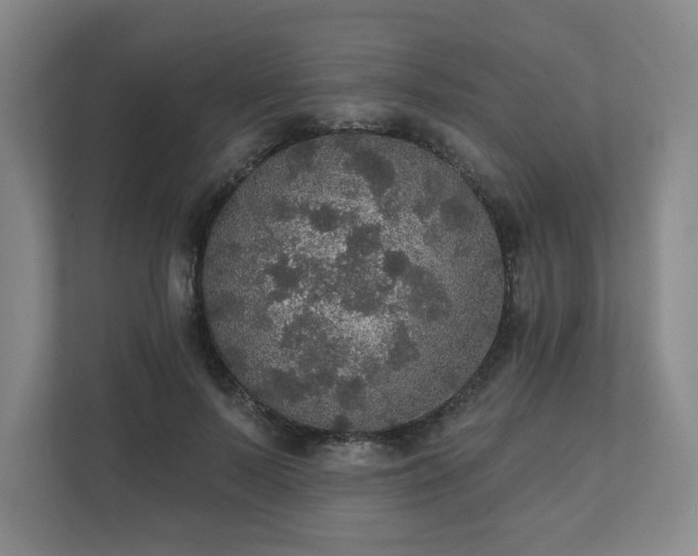 X0000111580695200907231235