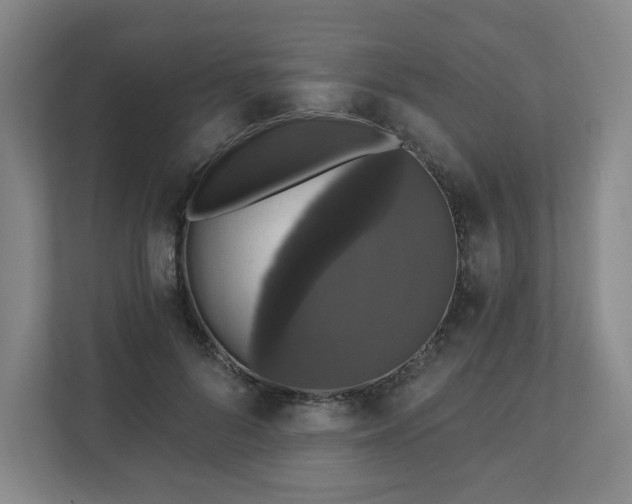 X0000111580696200907231235