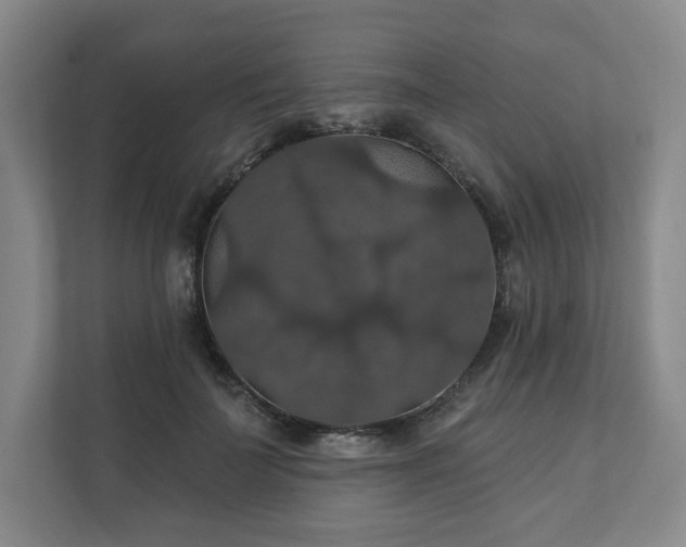 X0000111580699200907231235
