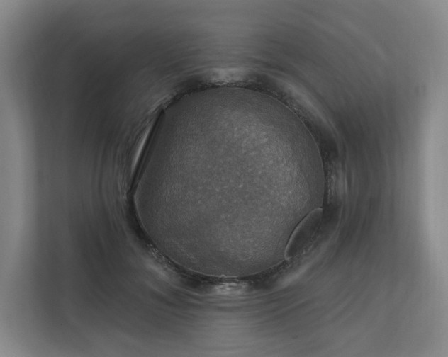 X0000111580700200907231235