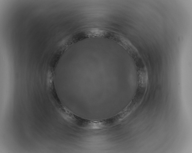 X0000111580701200907231235
