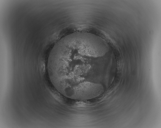 X0000111580703200907231235