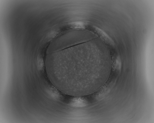 X0000111580704200907231235
