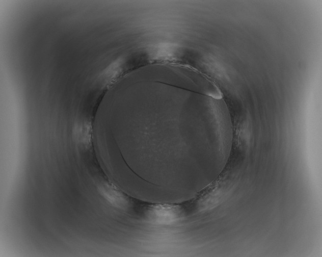 X0000111580708200907231235
