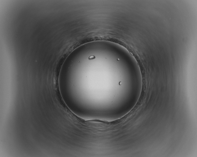 X0000111580709200907231235