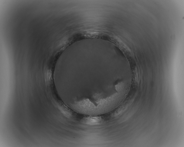 X0000111580711200907231235