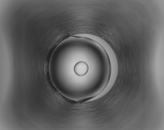 X0000111580712200907231235