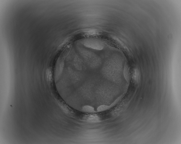 X0000111580715200907231235