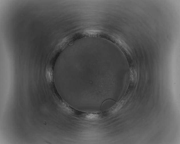 X0000111580718200907231235