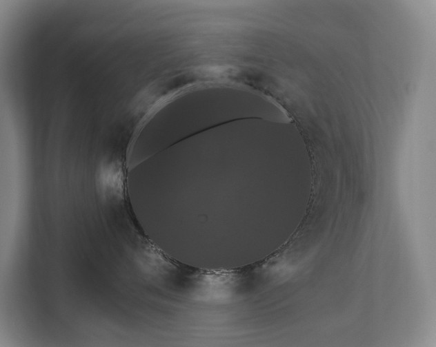 X0000111580720200907231235