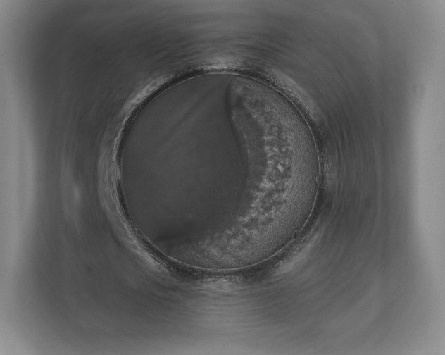X0000111580721200907231235