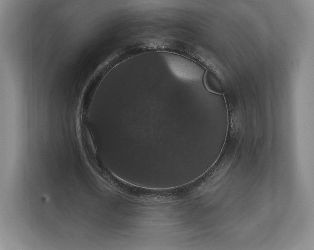 X0000111580722200907231235