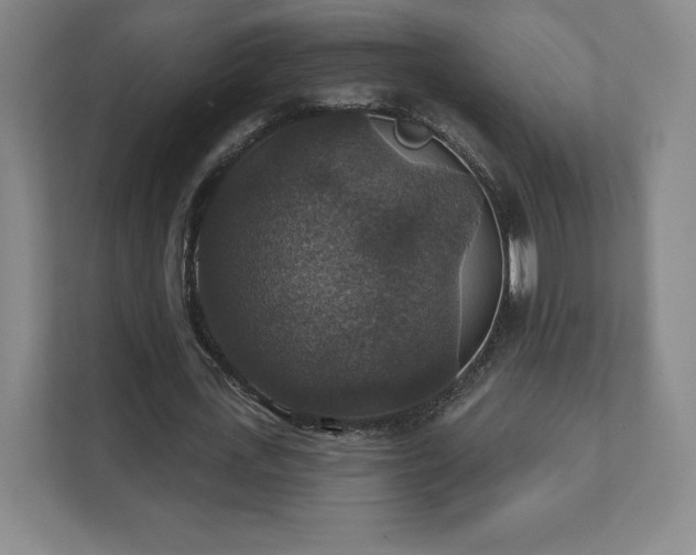 X0000111580723200907231235