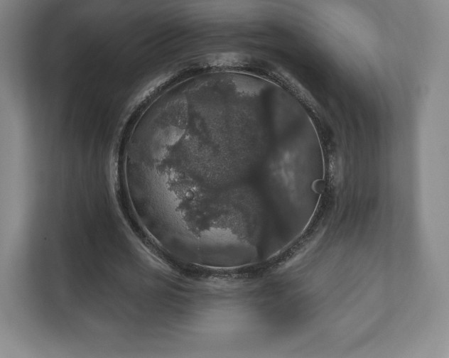 X0000111580725200907231235
