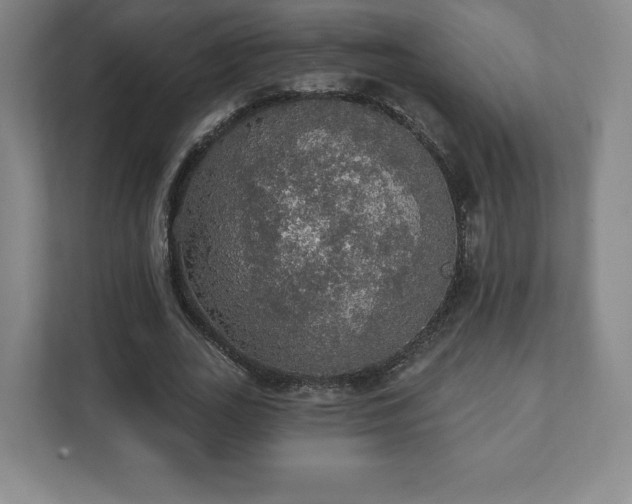 X0000111580727200907231235