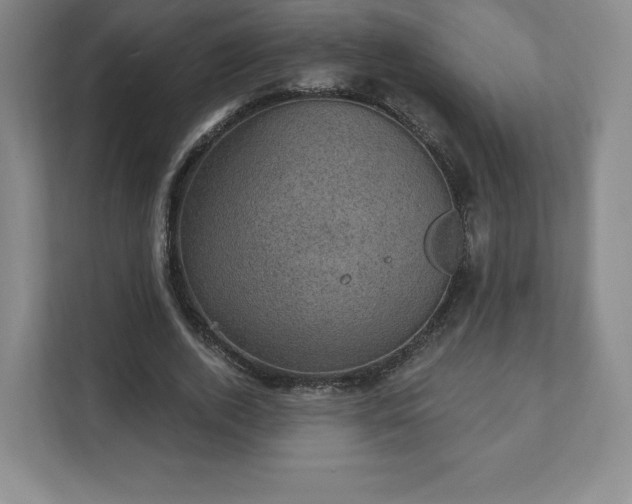X0000111580728200907231235