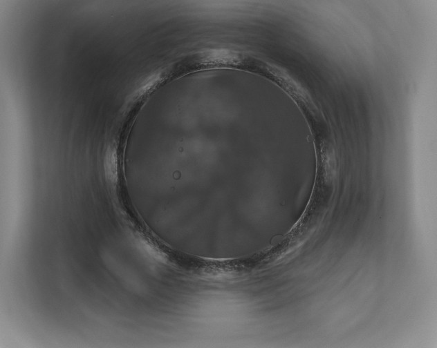 X0000111580729200907231235