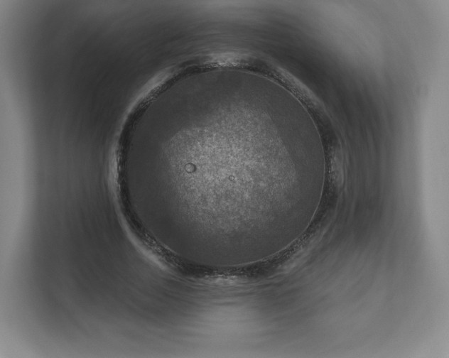 X0000111580730200907231235