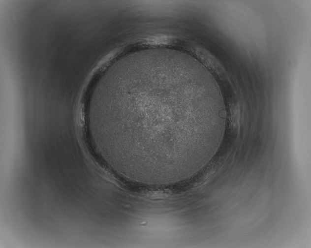 X0000111580731200907231235