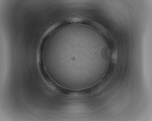 X0000111580732200907231235
