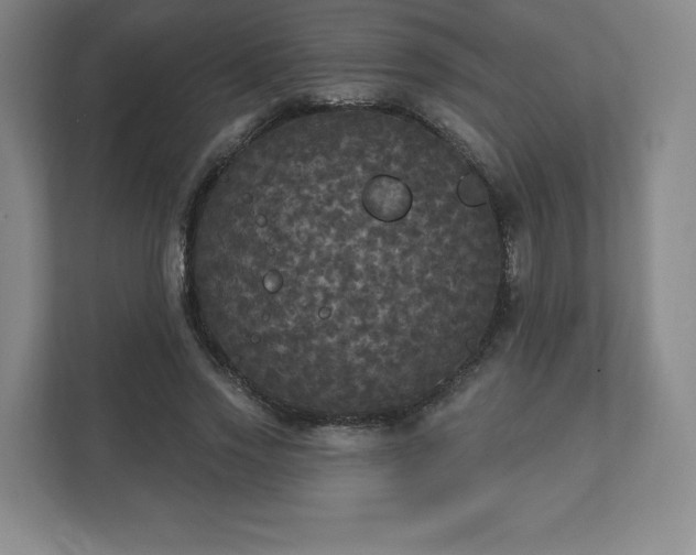 X0000111580733200907231235