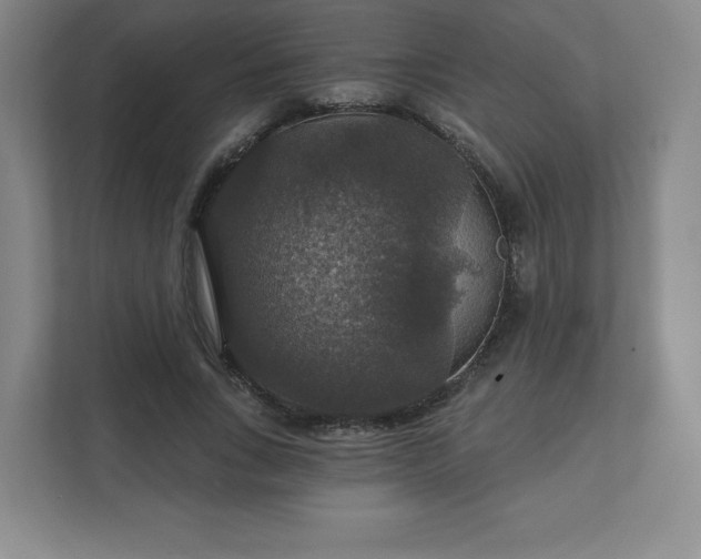 X0000111580735200907231235