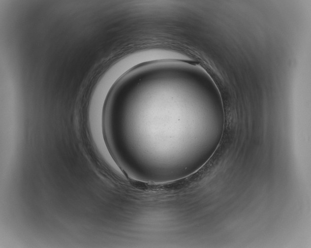 X0000111580736200907231235