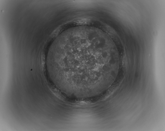 X0000111580737200907231235