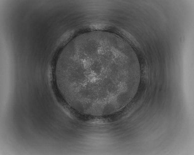 X0000111580738200907231235
