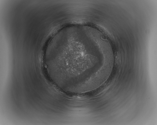 X0000111580739200907231235