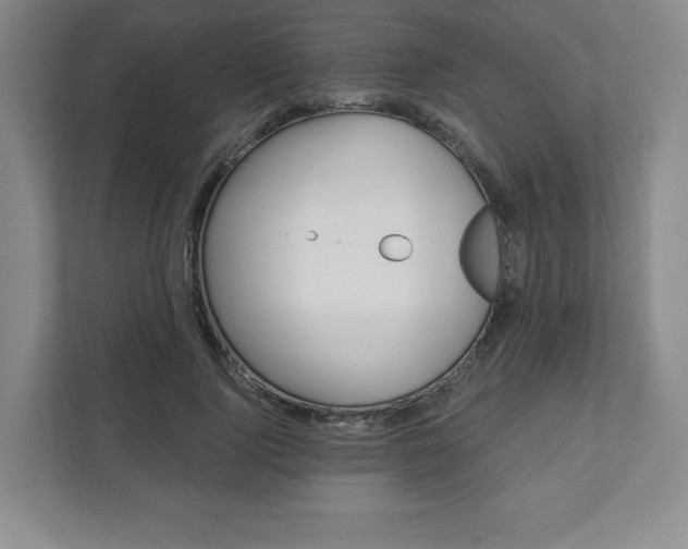 X0000111580740200907231235