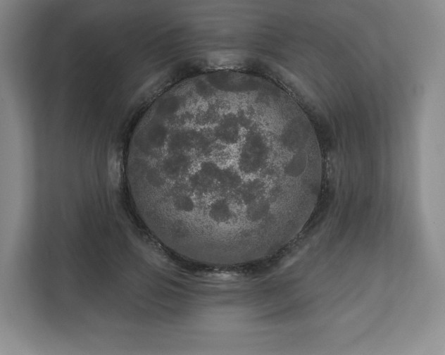 X0000111580741200907231235