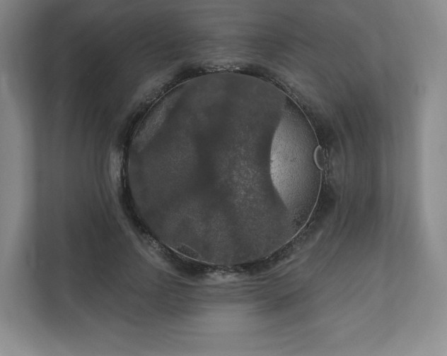 X0000111580742200907231235