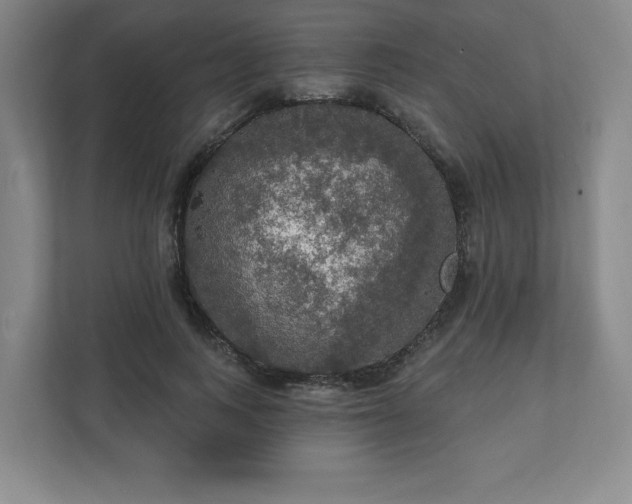 X0000111580743200907231235