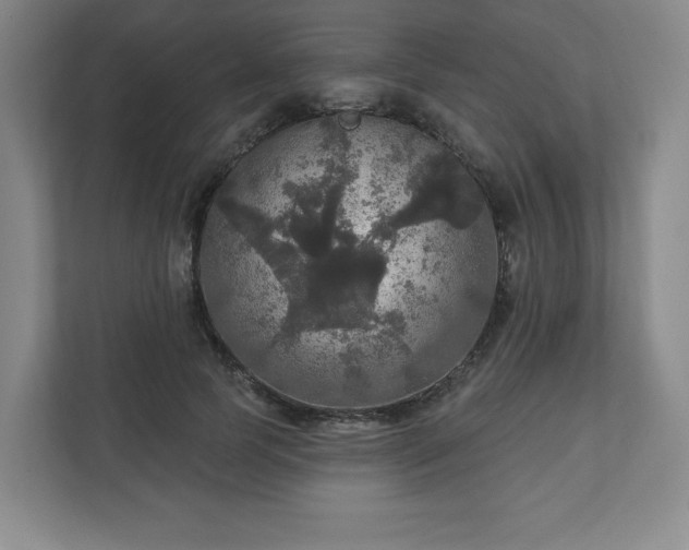 X0000111580745200907231235
