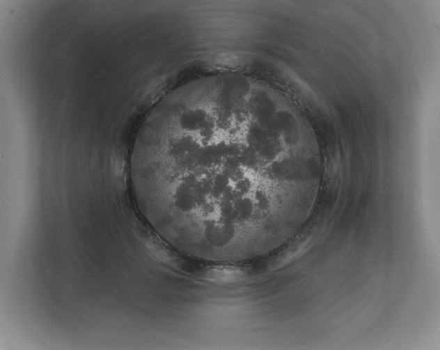 X0000111580749200907231235