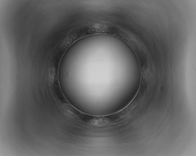 X0000111580752200907231235