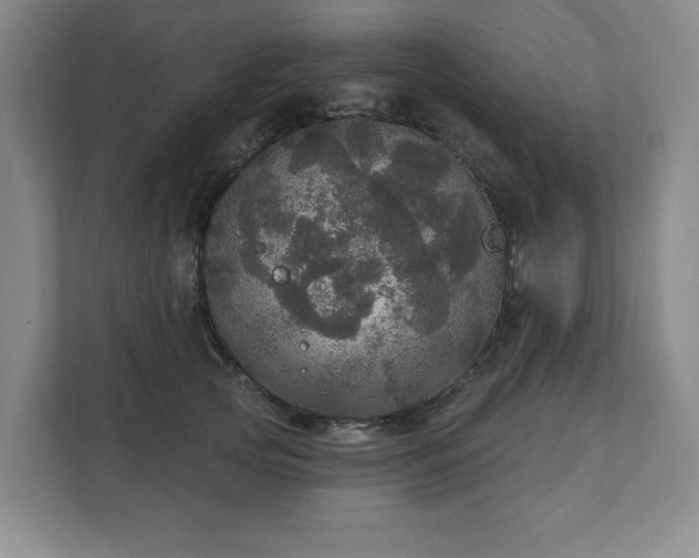 X0000111580753200907231235