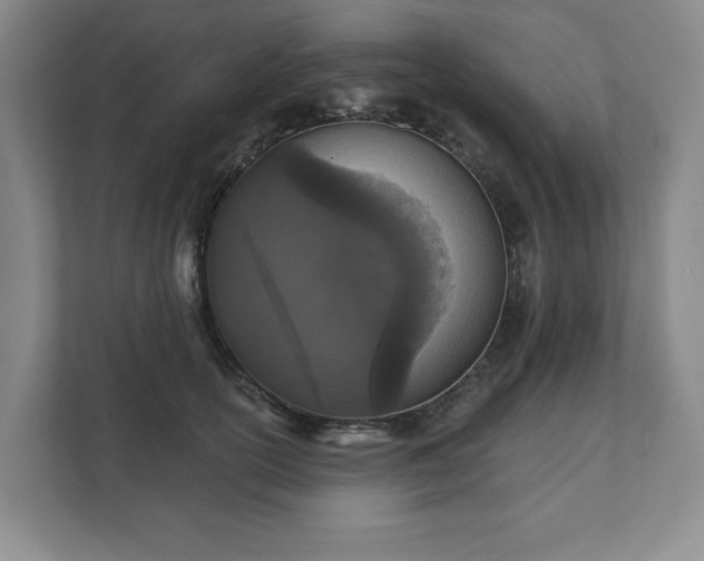 X0000111580754200907231235