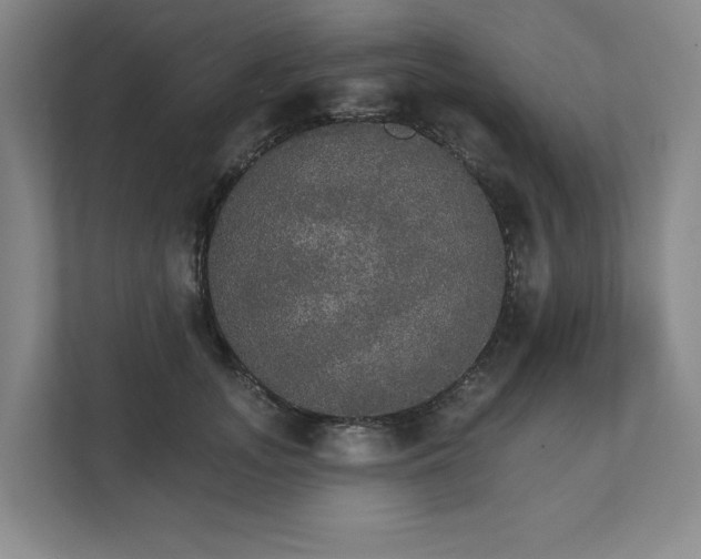 X0000111580755200907231235