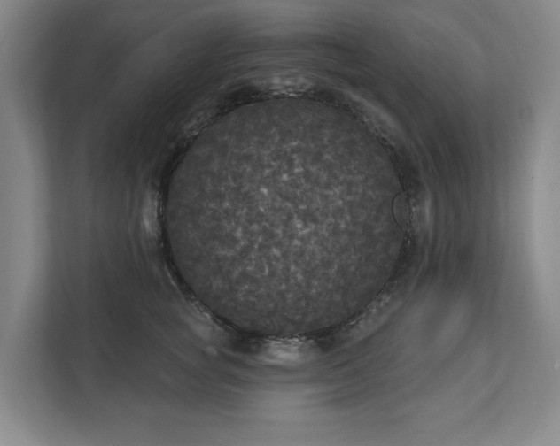X0000111580757200907231235