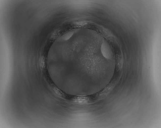 X0000111580758200907231235