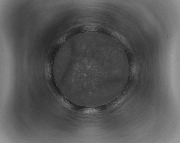 X0000111580759200907231235